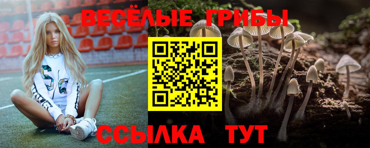 Галлюциногенные грибы мухоморы  Вход с VPN  купить закладку  Псилоцибиновые грибы GOLDEN TEACHER  Киров 