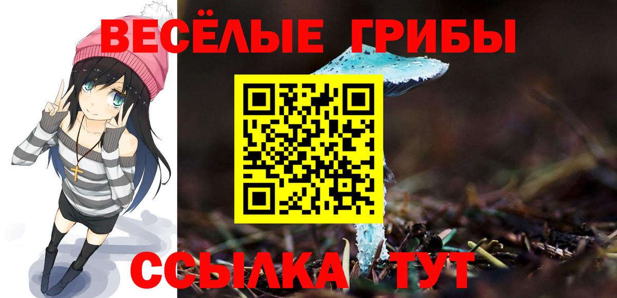 Псилоцибиновые грибы ЛСД Киров