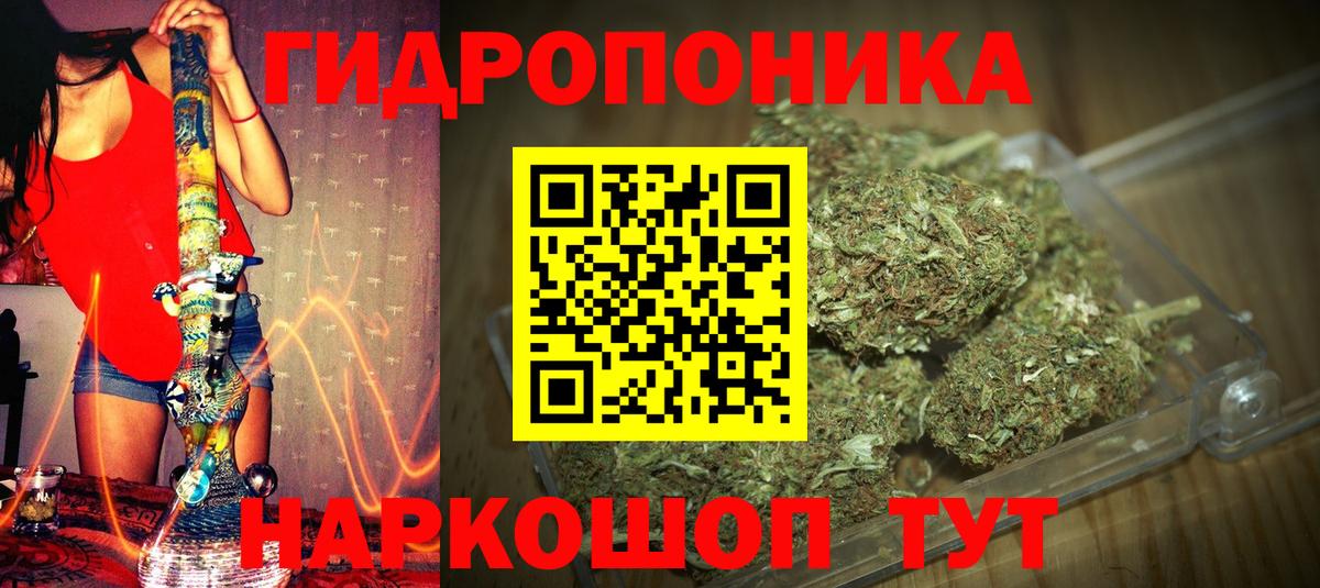 Бошки Шишки SATIVA & INDICA  Конопля White Widow  Киров  Вход с VPN  Бошки марихуана план 